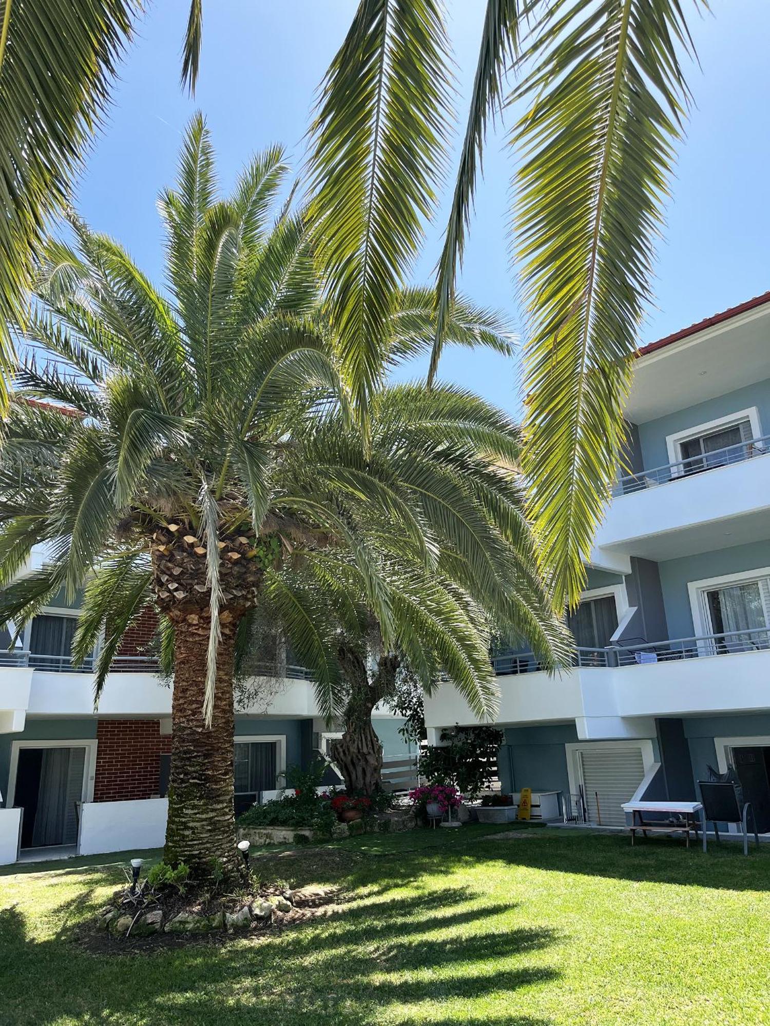 Kapsohora Inn Pefkochori Exterior photo