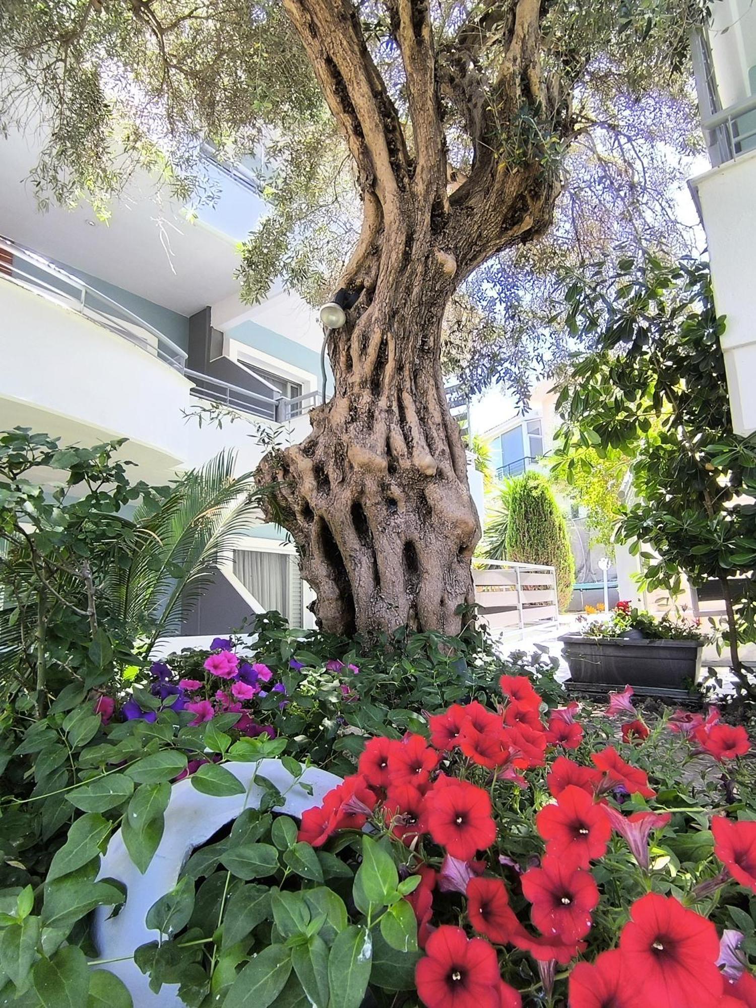 Kapsohora Inn Pefkochori Exterior photo